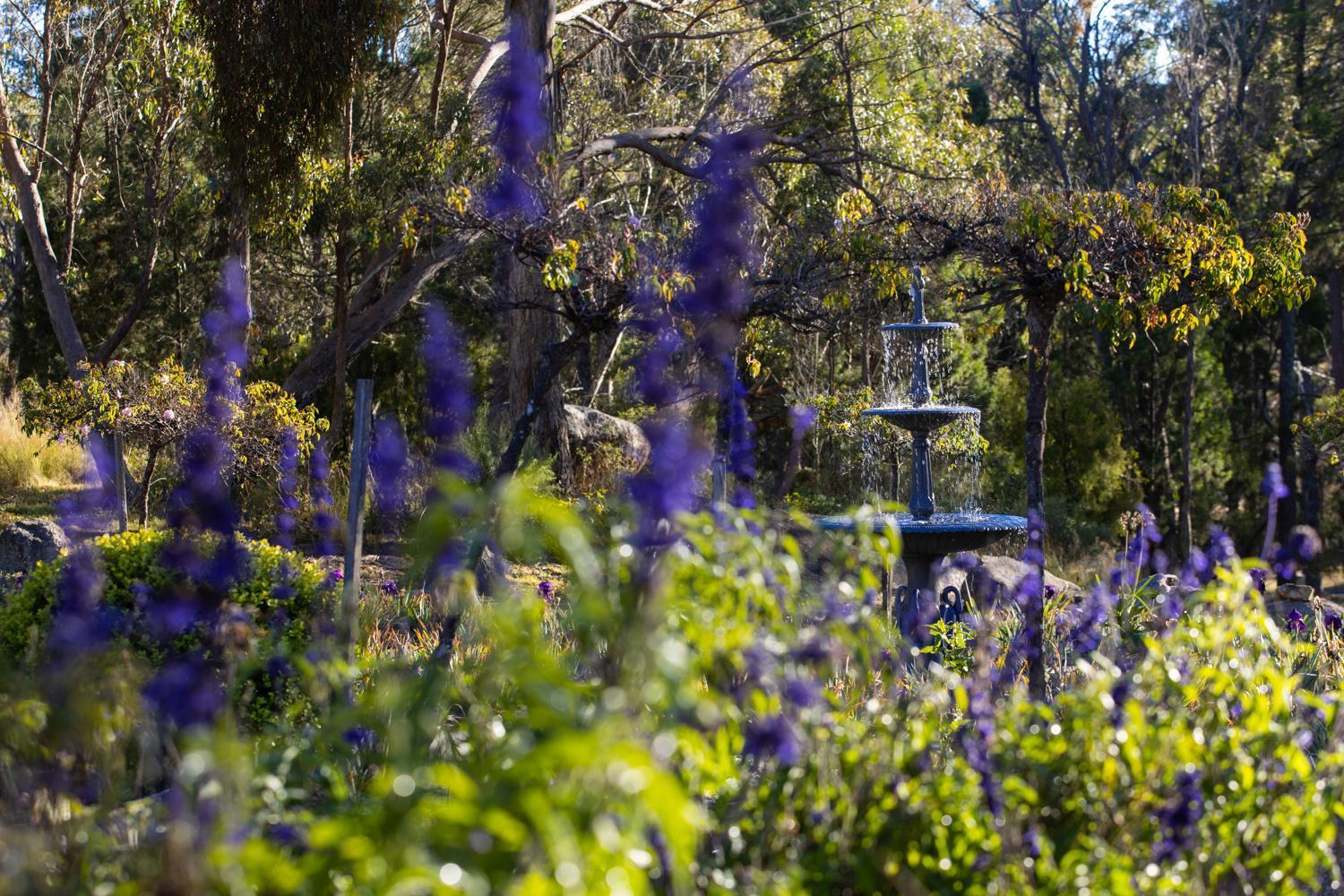 Girraween Country Inn Ballandean Kültér fotó